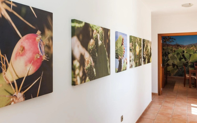 Villas Tao Mazo