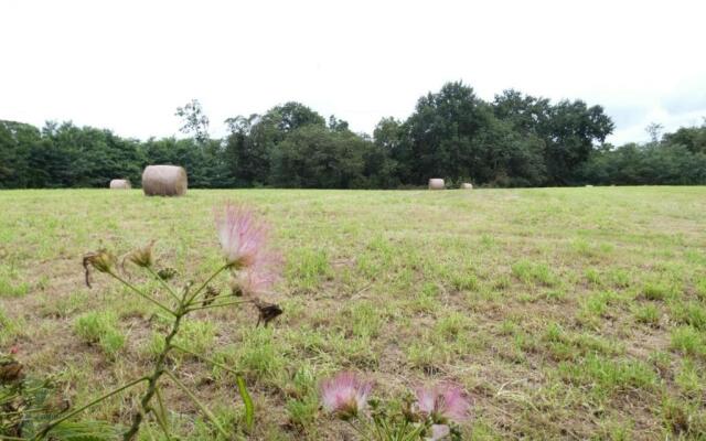 Gîte Poyanne, 3 pièces, 4 personnes - FR-1-360-210