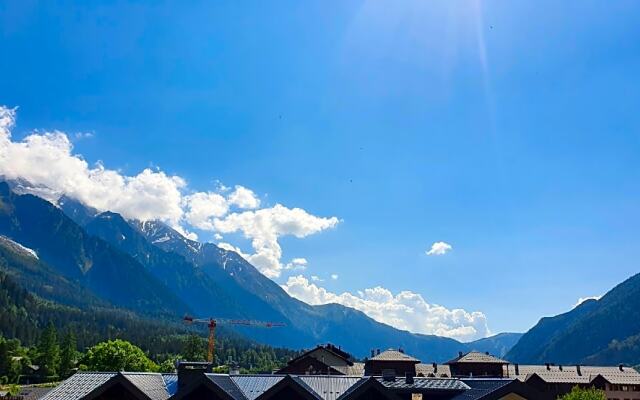 Chamois Blanc 421 - Chamonix Centre