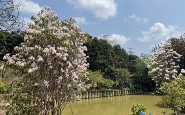 Nankunshan Mountain Farmhouse