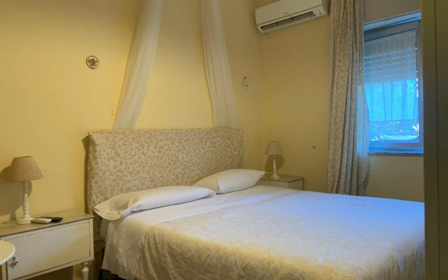 B&B Xenia