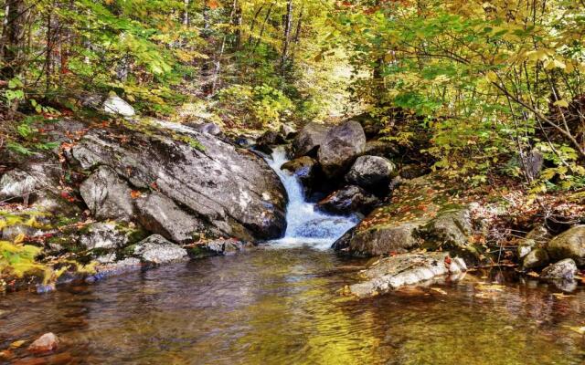 Chalets Alpins - 10 Chemin Blanc