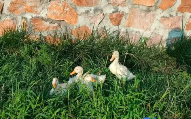 Yishan Yitian Homestay