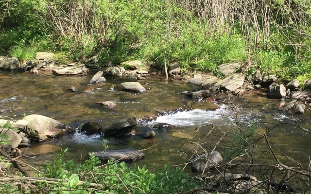 Tentrr - Sands Creek Camp