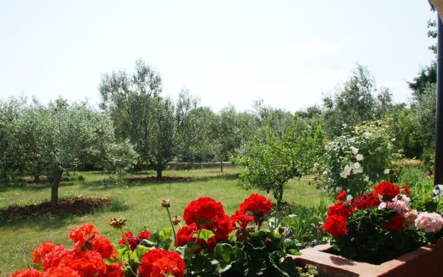Spacious Bungalow near Sea in Medulin