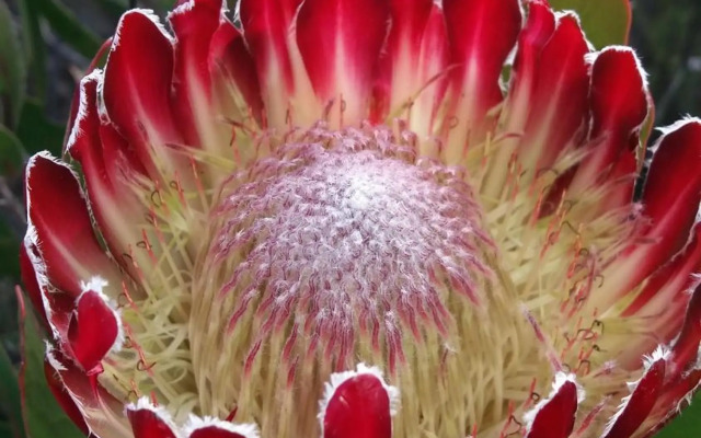 Pole Pole holiday home