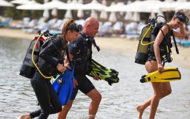 Harmony Vale- Anavissos