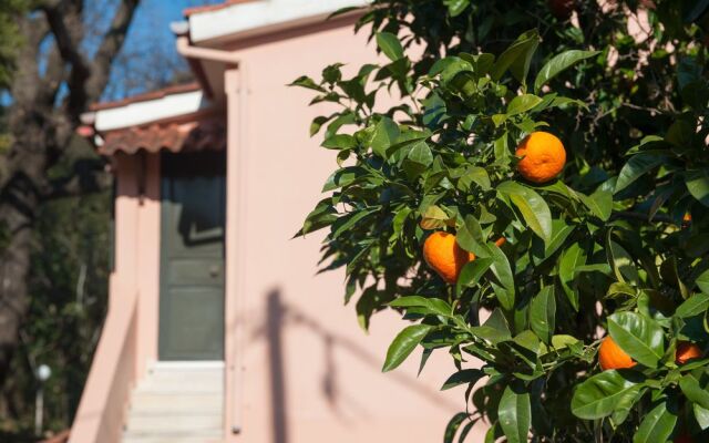 Wildrose Corfu Apartments