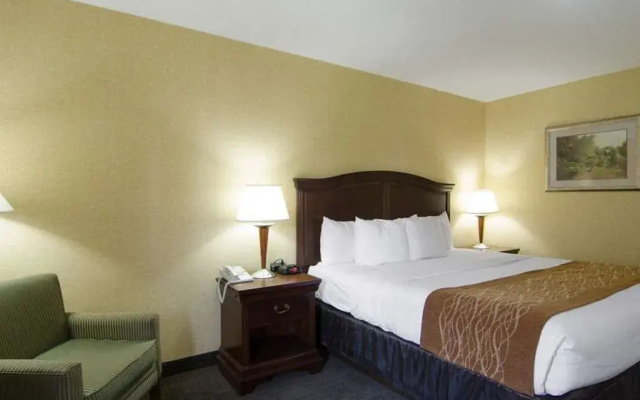 Comfort Inn