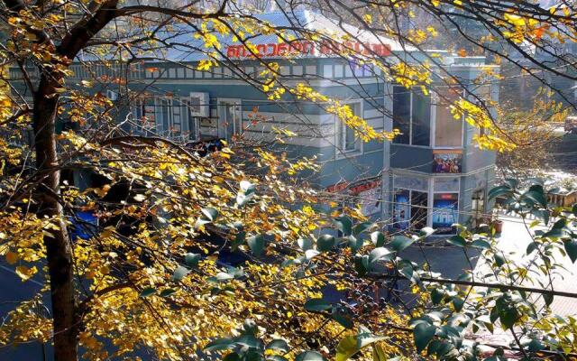 Hotel Newland