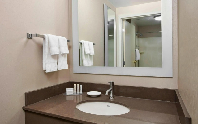 SpringHill Suites by Marriott Chicago Schaumburg/Woodfield