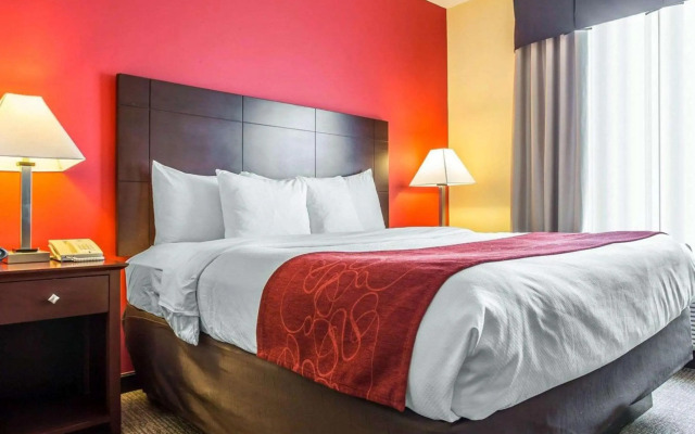 Comfort Suites Rock Hill Manchester Meadows Area