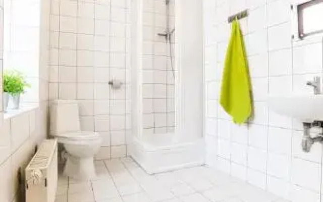 Green Hostel II