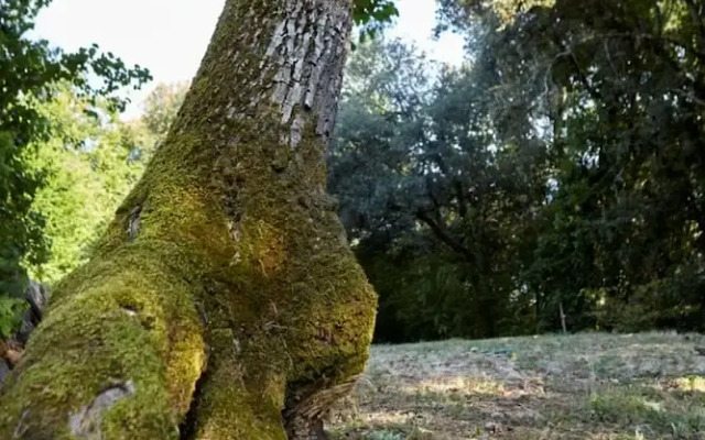 Le Gîte étoilé