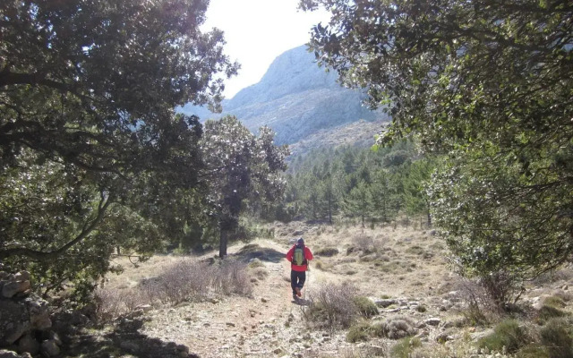 Camping Sierra De María