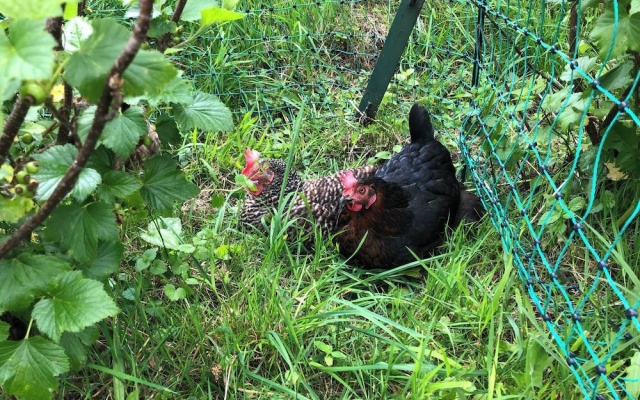Ruhig Gelegen,außerhalb,gemütlich,familiär