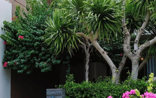 The Palm Nest Cam Ranh Pool Villa