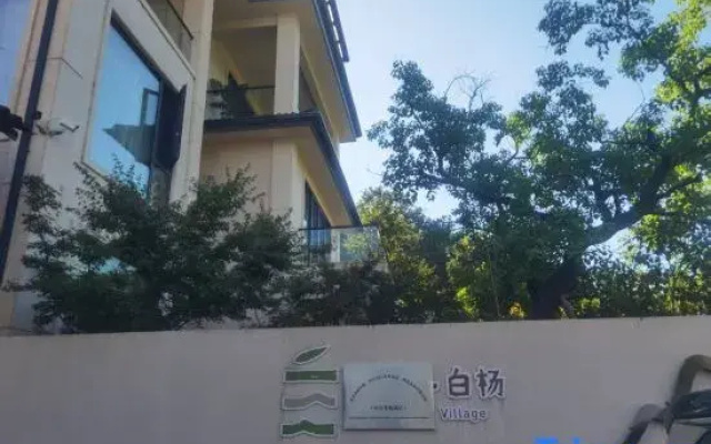 Anji Spring Breeze, White Poplar, Boling Small Hidden Beauty Residence.