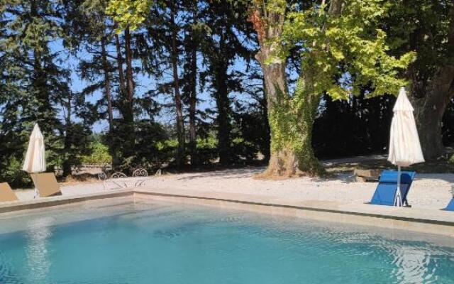 La tanière du grand singe