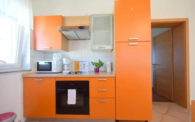 Dujmovic Miro - INH 33438