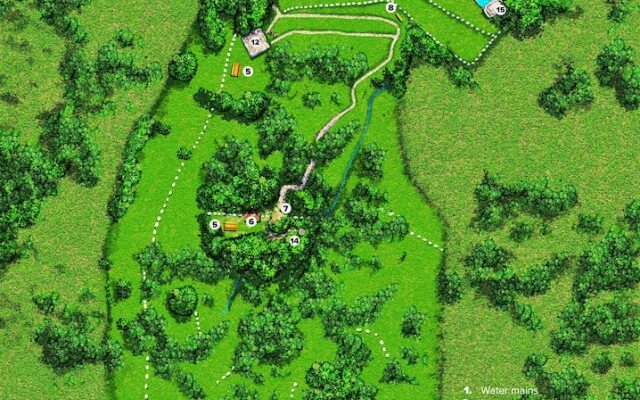 Wild boar mountain