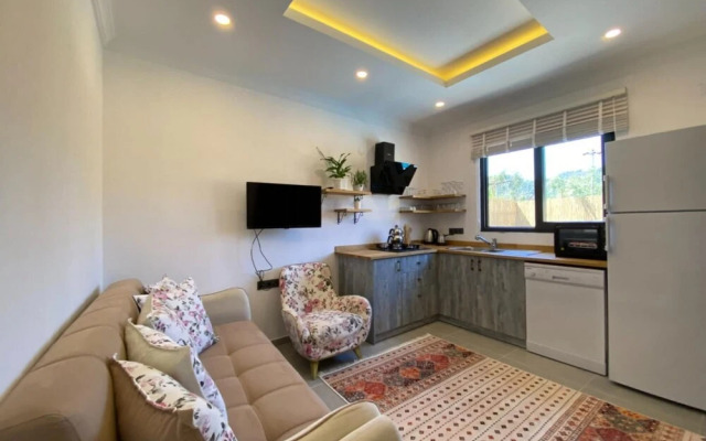 Villa With Jacuzzi Pool Backyard in Fethiye