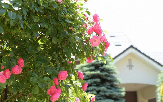 Guesthouse Kizuna