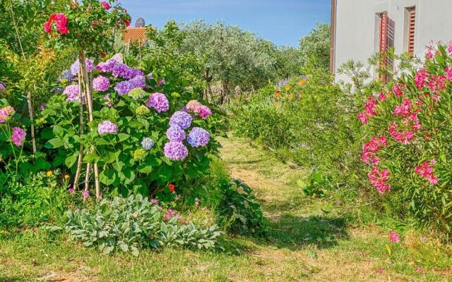 AMALIA APARTMENTS FAŽANA-Amazing sea view-Vodnjanska cesta 55,FAŽANA