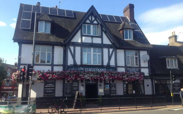 The Furzedown