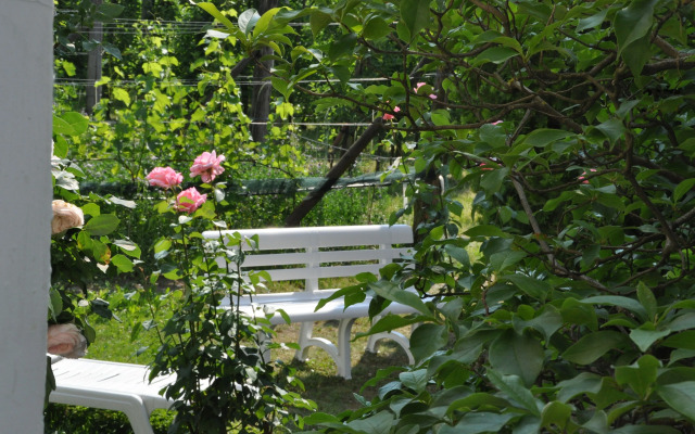 Weingarten Terlan - Rooms & Breakfast