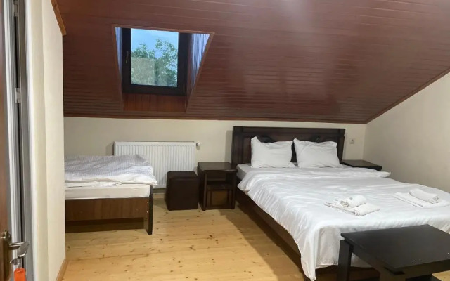 Mtskheta Wellpoint Arsukidze 48
