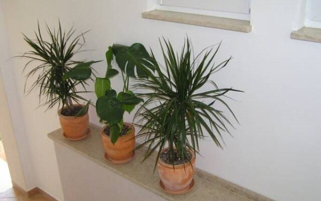 Apartments Oaza Regi