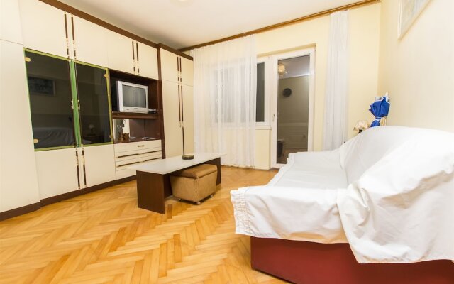 Apartment Branka