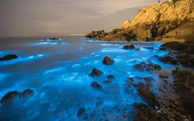 East Mountain Light Brigade