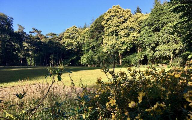 B&B Boshuis Darthuizerpoort