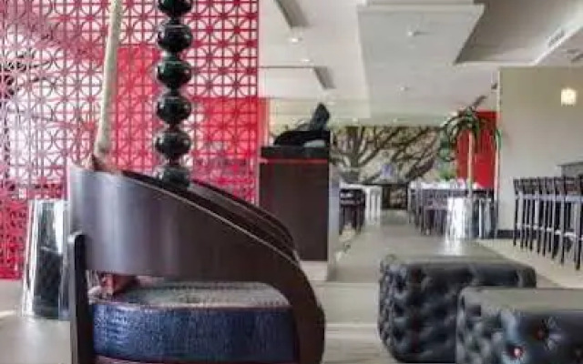 The VIP Executive Baobab
