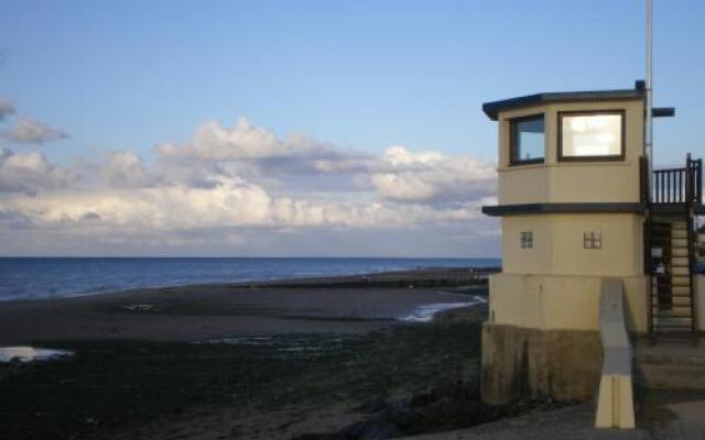 Aux Fleurs D'anemone