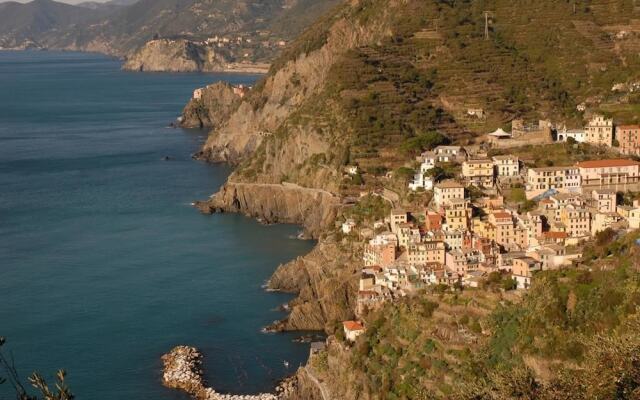 Shelley Affittacamere