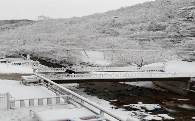 Hongcheon Bandi's Herb Pension