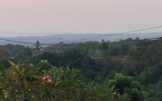 The Kayuputih