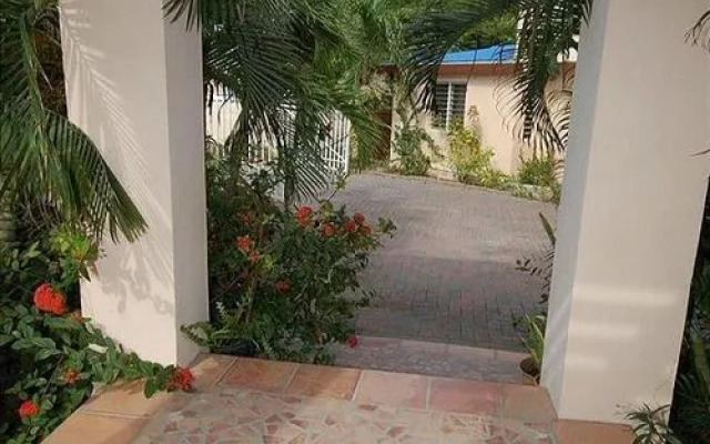 Coral Breeze by RedAwning