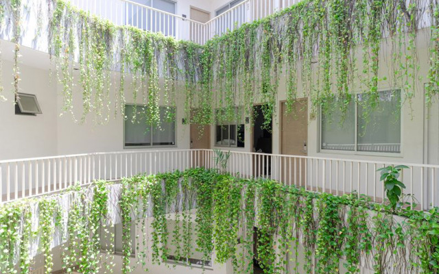 Legreen Suite Penjernihan
