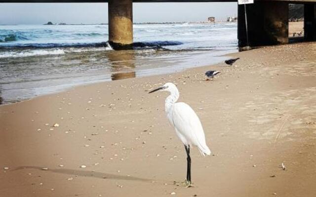 Sweet Home On The Beach