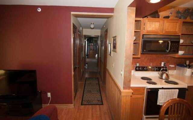 Slopeside Condo D102
