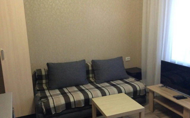 Apartment on Sovetskaya 17 A