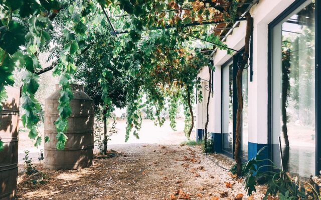 Monte do Colmeal - Country House & Wine
