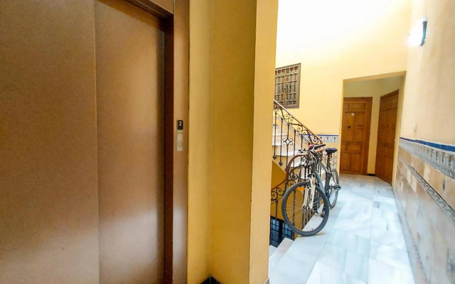 Apartamento Suite Alameda-Calatrava.