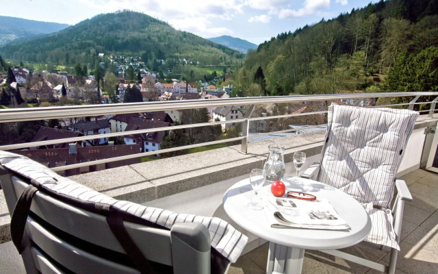 Schwarzwald Panorama