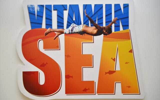 Son of a Beach Hostel