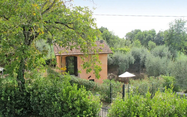 San Remigio Massa in Massa